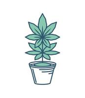 cannabis plant in pot vector
