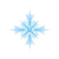 snowflake snow winter vector