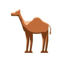 camel desert animal vector