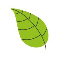 green nature leaf vector