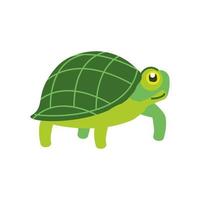 green turtle animal vector