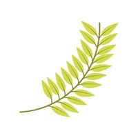 green branch leaves vector