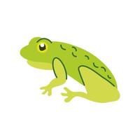 green frog cartoon vector