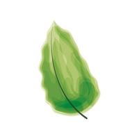 hoja naturaleza acuarela icono vector