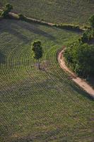 Road view from above with tree in the countryside asian - Aerial view over mountain road going through forest landscape and agricultural area photo