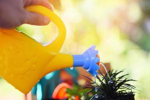 watering plant with colorful watering can on pot in the garden Gardening tools photo