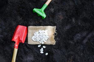 planting pumpkin seed on soil in the vegetable garden agriculture Gardening works concept photo