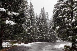 scenic view of the road with snow and mountain and giant trees background in winter season. Morske Oko