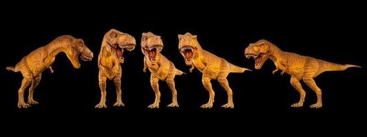 tyrannosaurus rex t-rex camina y gruñe. conjunto de varias posturas de dinosaurio. fondo negro aislado.
