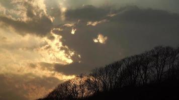 Landscape with silhouettes of trees against photo