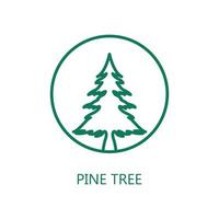 Pine Tree icon. Trendy flat vector Pine Tree icon on white background, vector illustration can be use for web and mobile