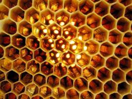 La estructura hexagonal abstracta es un panal de abejas de la colmena.