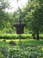 Scary scarecrow in garden discourages hungry birds photo