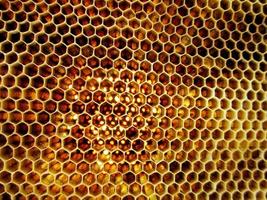 La estructura hexagonal abstracta es un panal de abejas de la colmena. foto