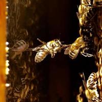 Natural hexagonal honeycomb from bee hive filled photo