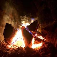 Beautiful flame brown wood dark black coal on bright yellow fire inside metal brazier