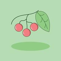 vector illustration of a bundle cherry fruit