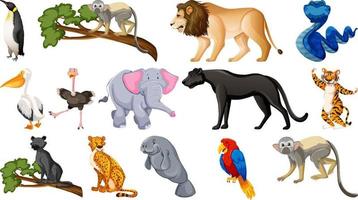 Set of different wild animals cartoon characters vector