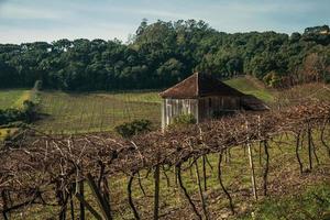 Rural landscape with old farmhouse amidst vineyards surrounded by wooded hills near Bento Goncalves. A friendly country town in southern Brazil famous for its wine production.