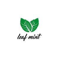mint leaf logo template in white background