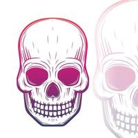 skull vector illustration on white