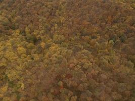 Aerial view at the autumn forest photo