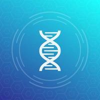 dna chain vector icon, sign