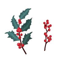 Christmas holly berry set, green leaf, red berry, branches, twigs. Vector winter illustration isolated on white background for Christmas cards and decorative design.