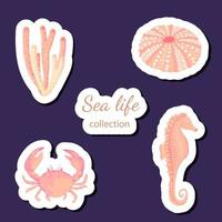 Seashells vector set. Collection of flat, cartoon sketches of molluscs sea shells, starfish, sea urchin, seahorse, hippocampus, crab, coral. Trendy coral reef under water collection isolated on white