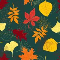 Colorful autumn leaves vector seamless pattern. Foliage texture,  maple, linden, rowan, oak, chestnut, ginkgo.
