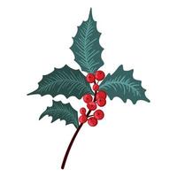 Christmas holly berry set, green leaf, red berry, branches, twigs. Vector winter illustration isolated on white background for Christmas cards and decorative design.