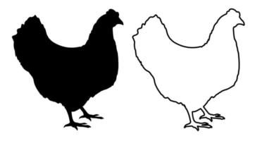 Linear icon. Homemade chicken. Farm bird laying eggs. Simple black and white vector isolated on white background