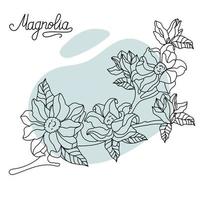 Floral botany collection sketch. Magnolia flower drawings. Black with line art on a colored background. vector