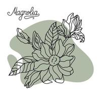 Flower drawing and sketch of magnolia. Stock vector