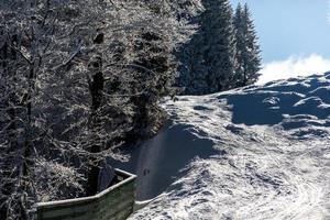 Ski slope in frozen winter forest photo