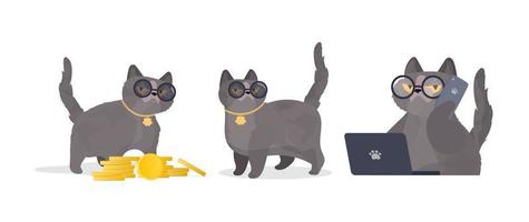 conjunto de gatos graciosos en vasos. pegatina de gato con mirada seria. bueno para pegatinas, camisetas y postales. aislado. vector. vector
