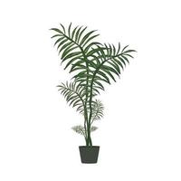 Large green houseplant. Isolated on a white background. Vector. vector
