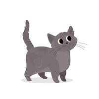 Cute gray cat. Suitable for stickers and postcards. Isolated. Vector. vector