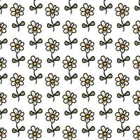 Seamless pattern with flowers. Floral background. Chamomile flowers isolated on white background vector
