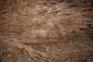 old wood grain background photo