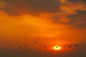 Sunset on evening orange red dark cloud on sky photo