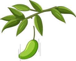 Mango falling off the tree vector