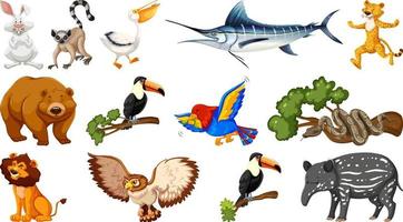 Set of different wild animals cartoon characters vector