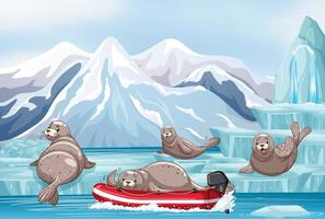Antarctica landscape with seal in inflatable boat