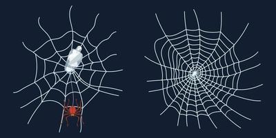 spider web spider and prey crawls insect new vector