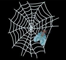 spider web on a dark background. vector work