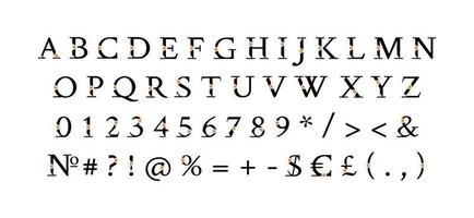 Serif roman decor alphabet set vector
