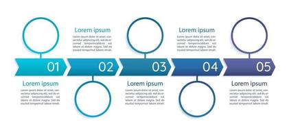 Business blue infographic chart design template vector