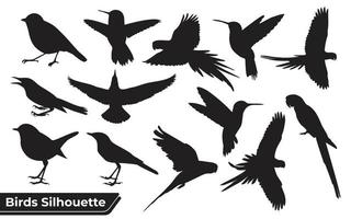 Flying Different Type of Birds silhouette with wings vector
