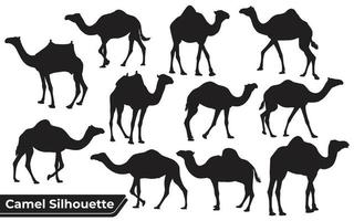 colección de silueta de camello en diferentes poses. vector